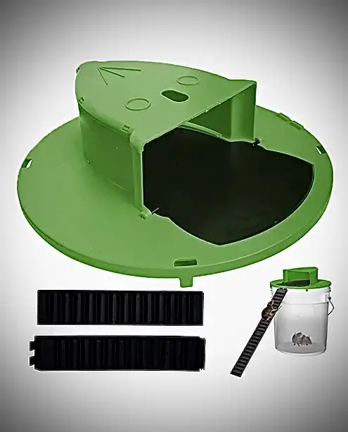 Mouse trap Trampa raton 