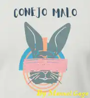 RESUMEN EJECUTIVO DE LA PROPUESTA