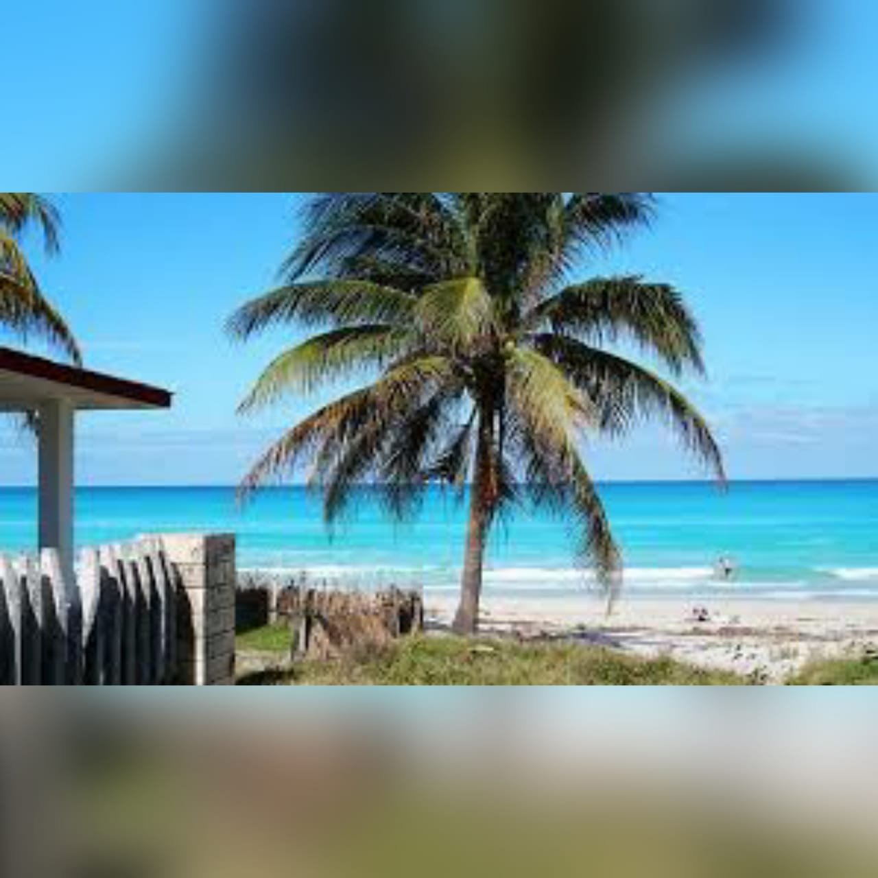 Me Encanta El Caribe!!!